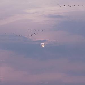 给我放一块北京的操逼小视频免费的不要钱的
