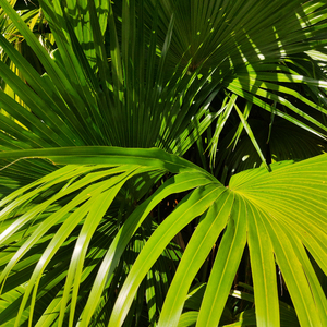 给我放一块北京的操逼小视频免费的不要钱的
